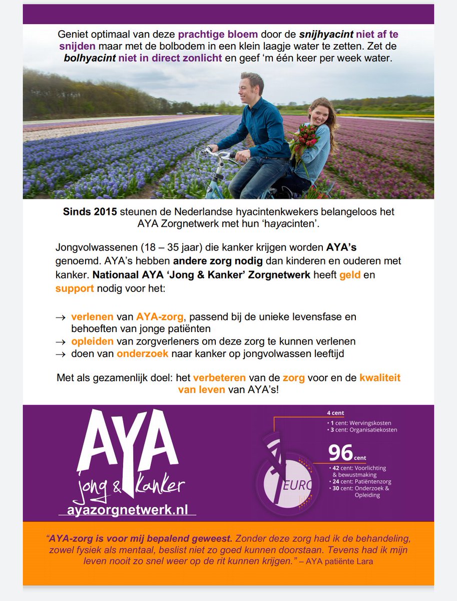 Sinds 2015 steunen de Nederlandse hyacintenkwekers belangeloos het #AYA Zorgnetwerk (jongeren met kanker) met hun 'hayacinten'. Koop een bos of pot met hyacinten en steun de AYA's! 

#hyacinten #AYA #jongerenmetkanker