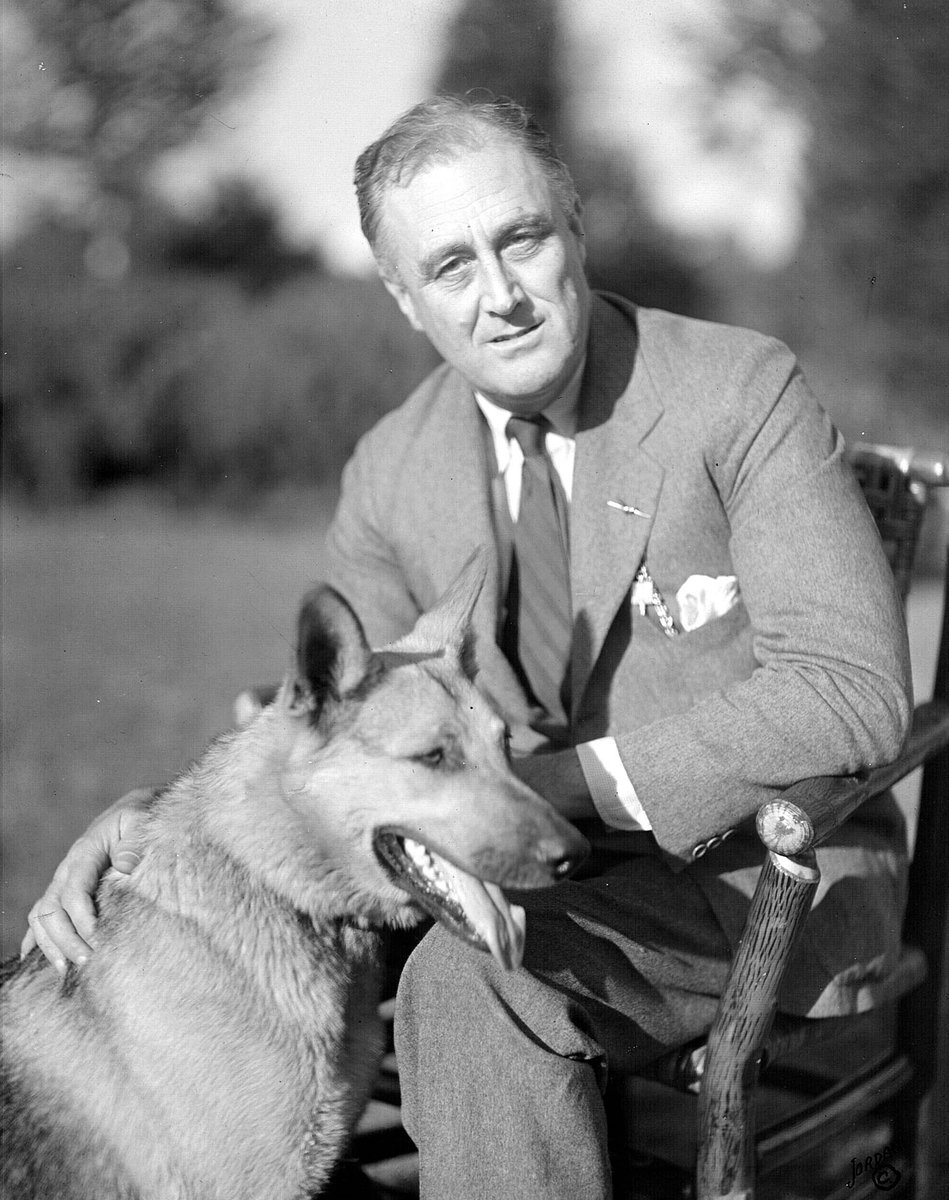 fdr's dog crossword - craftincreatively