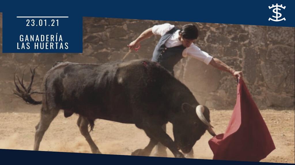 Sebastián Ibelles tweet media