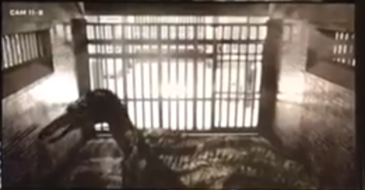 [25/25 For now] The beloved Suchomimus was supposedly considered to appear in Fallen Kingdom alongside Baryonyx, having footage of the species from the Lockwood's manor security cameras!