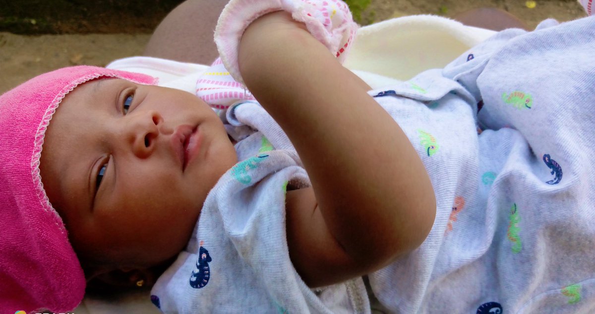 Chiblings_Code's tweet image. Josephine💖 |🐅#granddaughter