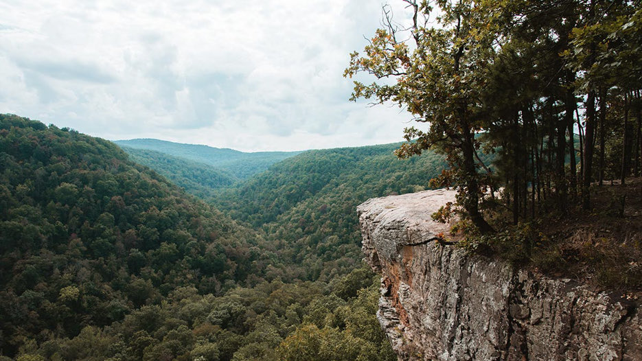 USL looks to expand to young areas, and NWA is just that. The 4 main cities in the area (Fayetteville, Springdale, Rogers, and Bentonville) have a combined average age of 31.7, and 18-44 year olds range from 40-55% of their populations.