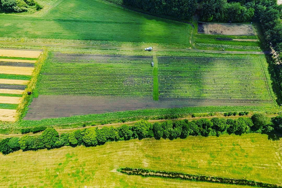 Resultaat enquête #pixelfarming Velhorst 2020. Afgelopen jaar zijn we gestart met pixelfarming op Landgoed Velhorst.

Op de website van de #VriendenvanVelhorst lees je meer over het resultaat van de enquête: landgoedvelhorst.nl/weblog/evaluat…