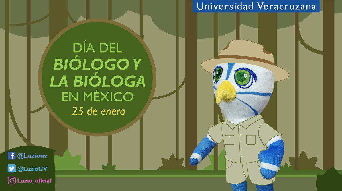 Luzio UV tweet media