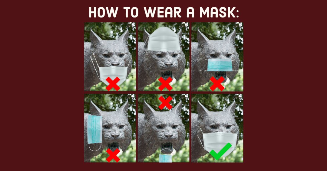 alkeklibrary's tweet photo. Bobcats, remember to always wear your mask over your mouth AND nose when in the library. To continue to serve you we need everyone to comply to COVID-19 guidelines. Together we can stop the spread of COVID-19 and keep each other safe!
#txstrespect https://t.co/HNht7dfL2p