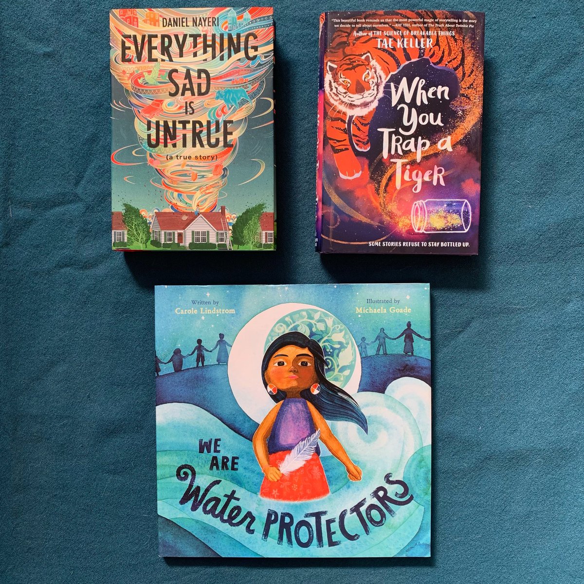 What a wonderful day! Congrats to all of the book creators recognized by the 2021 ALA Youth Media Awards, including Newbery Medalist @taekeller, Caldecott Medalist <a href="/MichaelaGoade/">Michaela Goade</a>, and Printz Award winner <a href="/DanielNayeri/">Khosrou Daniel Nayeri</a>! #alayma21 

Find the books here: wildrumpusbooks.com/ALAYMA2021