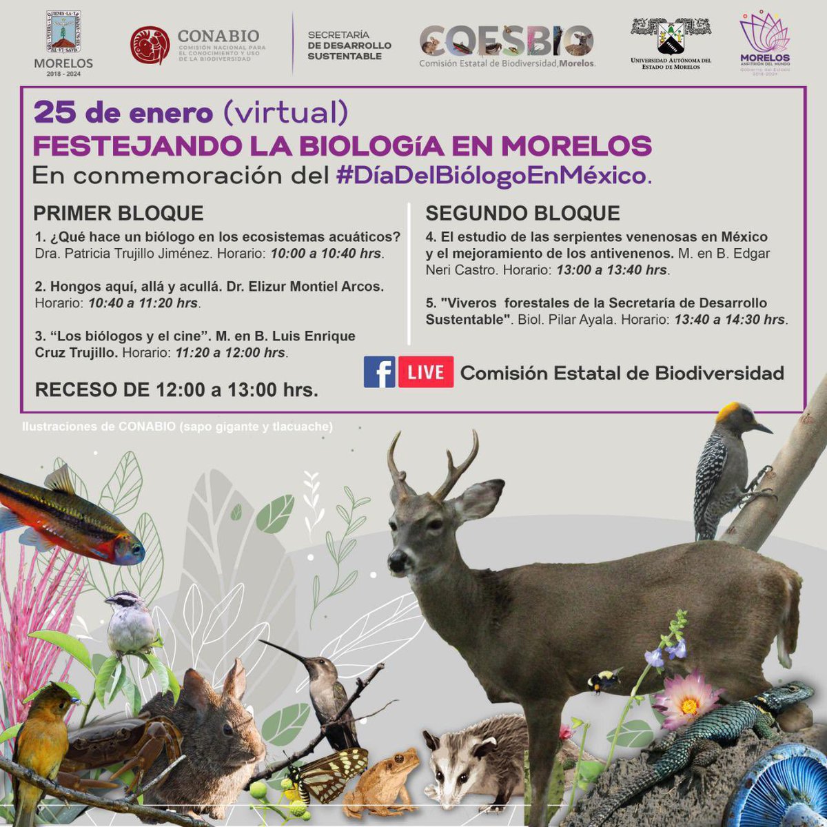 NODESS: Morelos Solidario y Cooperativo tweet media