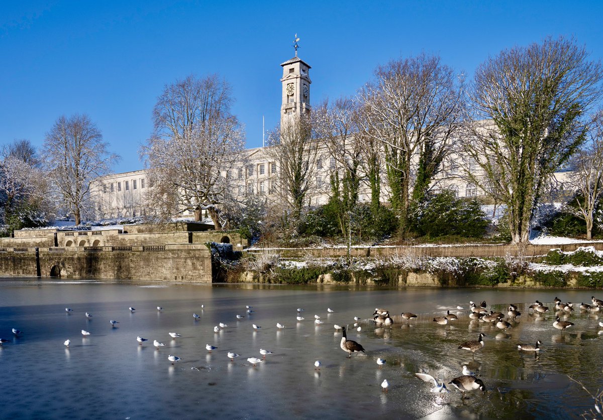 UoNphotography's tweet photo. Birds of a feather, flock together ! They knew exactly where that wanted to be today @UniofNottingham #snow #highfields #birds #trentbuilding #uon #winter #Winterwatch https://t.co/t3cudZNaZX