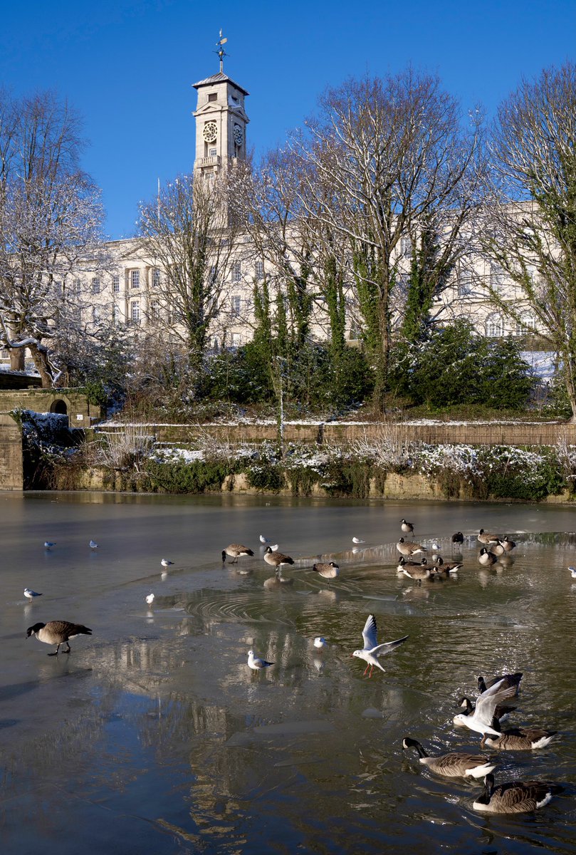 UoNphotography's tweet photo. Birds of a feather, flock together ! They knew exactly where that wanted to be today @UniofNottingham #snow #highfields #birds #trentbuilding #uon #winter #Winterwatch https://t.co/t3cudZNaZX