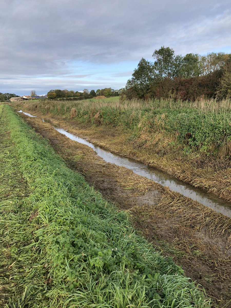 EdwardCherry10's tweet photo. @agricontract @Pxfarms @EnvAgency October time. Good example of not dredging https://t.co/DDYGsxcfXv