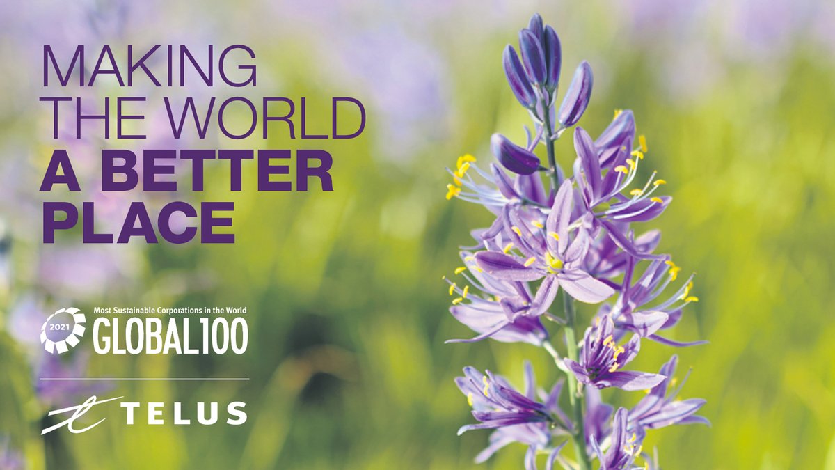 Once again, we’ve been listed on @CorporateKnight #Global100 Most Sustainable Corporations in the World, ranking 54th in 2020. We’re so proud to be the top ranking telco in North America and the 2nd highest globally. Learn more at telus.com/sustainability…