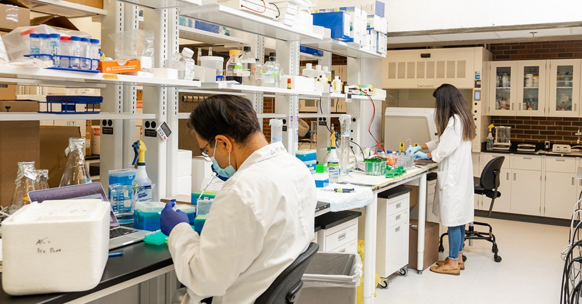 YorkUniversity's tweet photo. Congratulations to more than 80 #YorkU researchers who have been included in the PLOS Biology list of the world’s top two per cent researchers. The list, assembled by a team at Stanford, acknowledges the leadership of our researchers. | #YUResearch

➡️ https://t.co/8AINQYgSlI https://t.co/bdTLV7tXpE