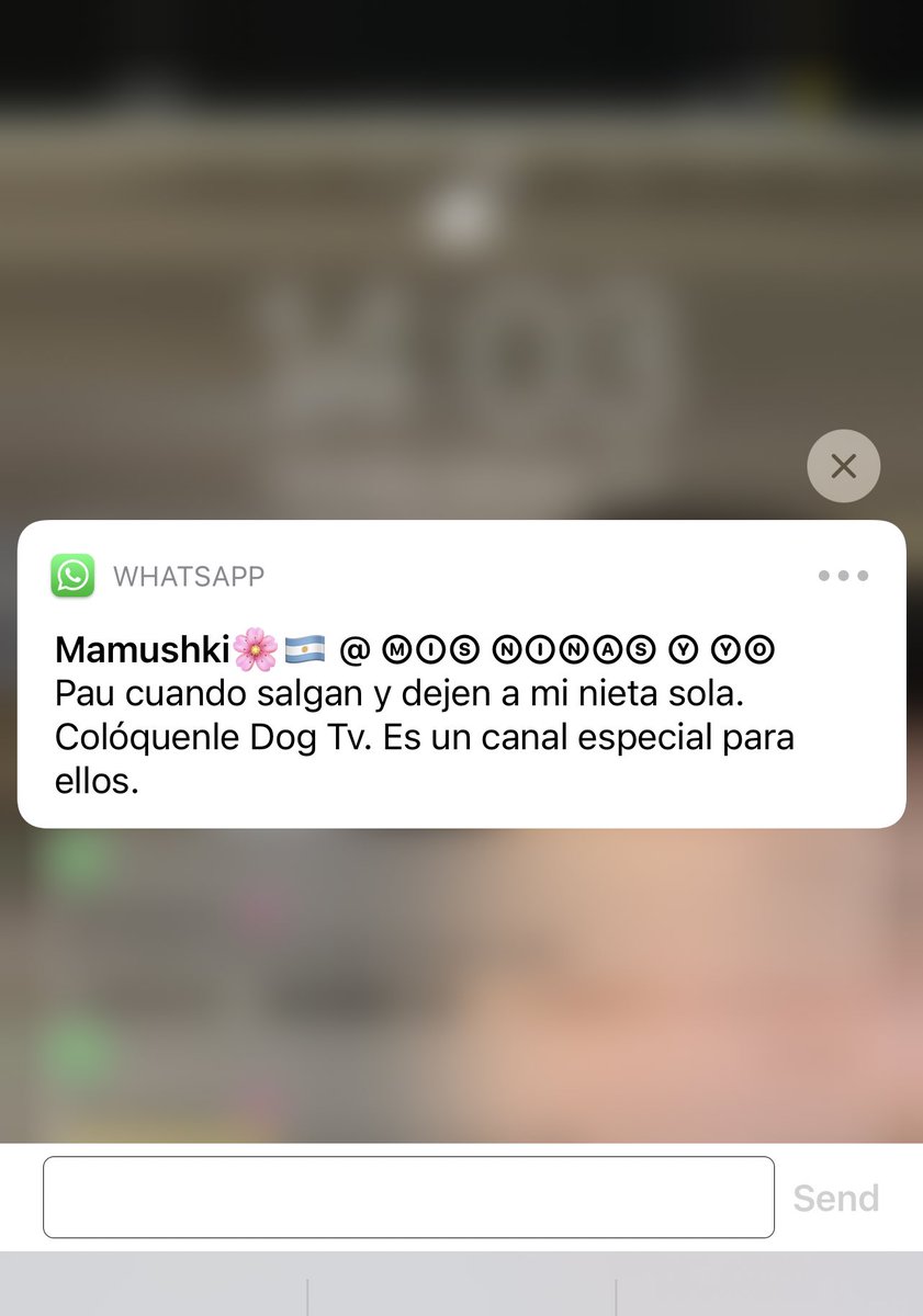 Paulabrs's tweet photo. Mi mamá is something else 🥲♥️
- Listo mami ✔️ 📺 🐶 https://t.co/4WChJNnFkP