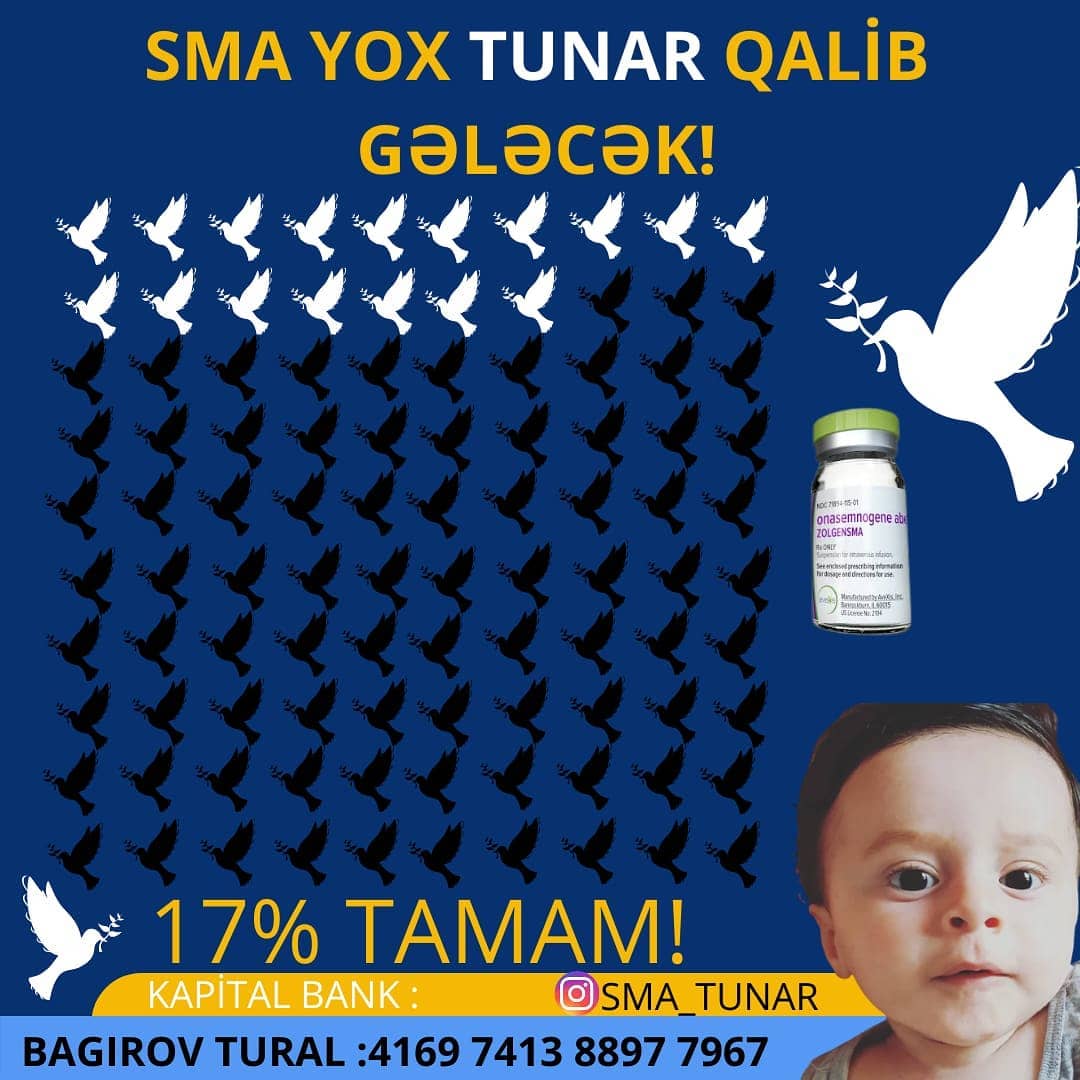 Sma_Tunar_dəstək (@smatunar1) on Twitter photo Artıq 17%. Addım addım yaxşılaşırıq xoş günlərimizə. Bu günümüzə şükür. Gəlin hamımız birlikdə Tunara nəfəs olaq🙏
<a href="/presidentaz/">Ilham Aliyev</a> <a href="/1VicePresident/">Mehriban Aliyeva</a>
#Tunaranefesol #Tunaranəfəsol #Tunaranəfəsolaq Artıq 17%. Addım addım yaxşılaşırıq xoş günlərimizə. Bu günümüzə şükür. Gəlin hamımız birlikdə Tunara nəfəs olaq🙏
<a href="/presidentaz/">Ilham Aliyev</a> <a href="/1VicePresident/">Mehriban Aliyeva</a>
#Tunaranefesol #Tunaranəfəsol #Tunaranəfəsolaq