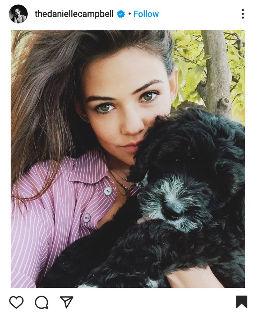 Another interesting "coincidence" is that Danielle has a dog named Max. When the Lounielle stunt started Louis got also a dog (aka the stunt dog) which he decided to name Clifford. What are the chances?