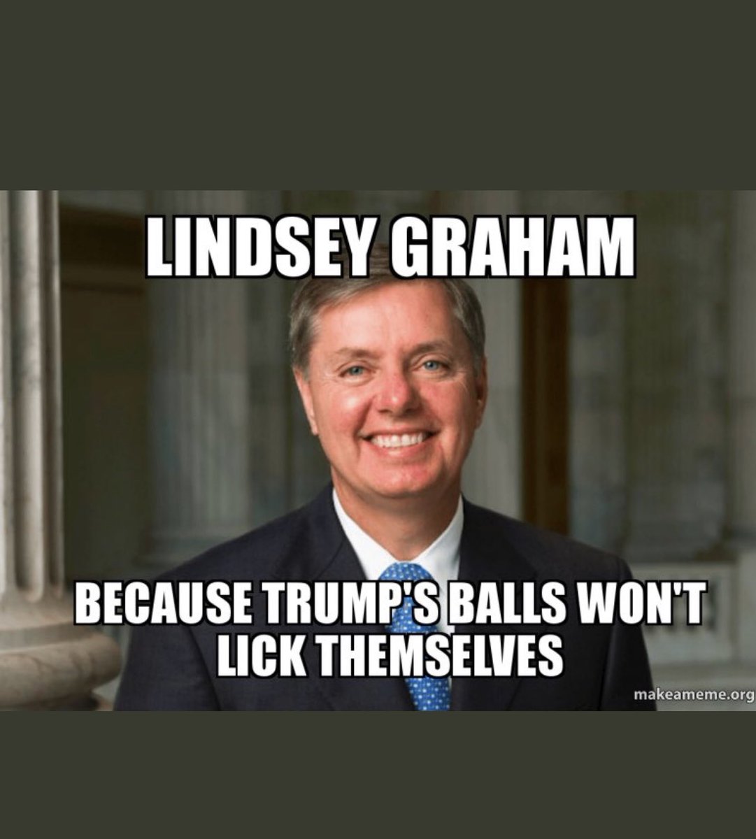 @LindseyGrahamSC @SenSchumer @SpeakerPelosi @CillizzaCNN BS!!!!! You don’t even know the definition of impartiality!!