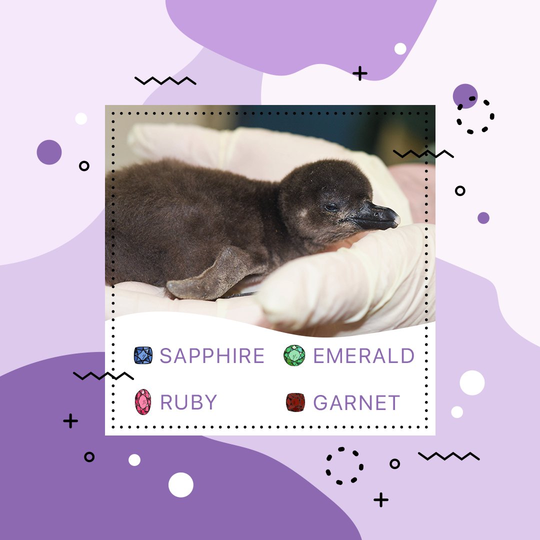 SmythTimonium tweet media