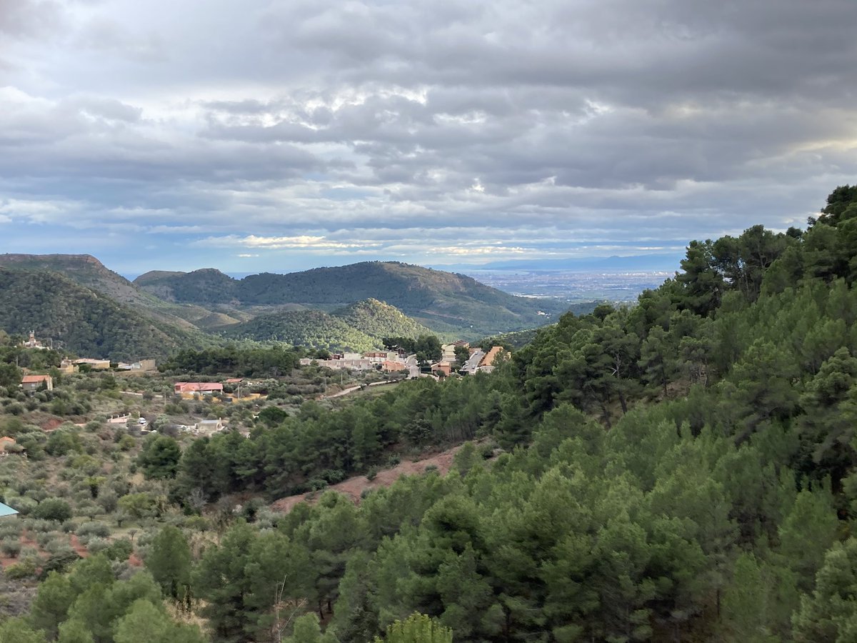 EdRojasBr's tweet photo. Práctica campo en energías renovables Máster Ingeniería Montes #EAMN #UPV: gestión forestal, prevención d incendios +suministro calderas municipales +población local con pellets propios ejemplo d bioeconomia circular fijando población:gracias exalumna Pilar Moce +Ajuntament Serra https://t.co/bg5dXpRZRj