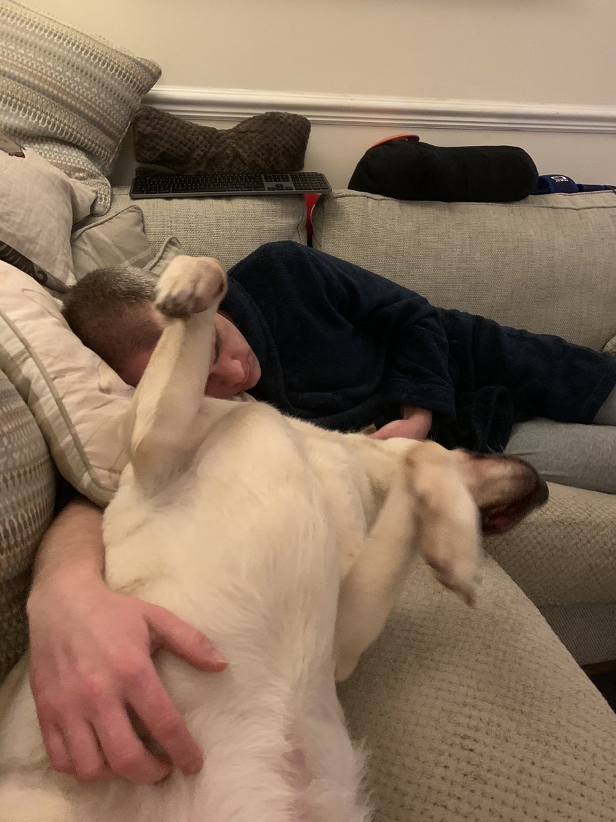 GuidedogH's tweet photo. Love my snuggles with daddy. (Picture of golden lab/retriever on the sofa on his back with all four paws in the air, with man cuddling him) https://t.co/eOl4QuAusO