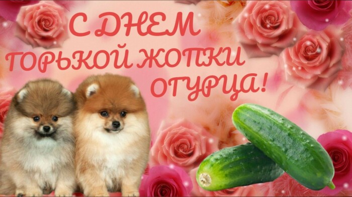 egromix's tweet photo. @Biven95034302 https://t.co/6igBin0kgl