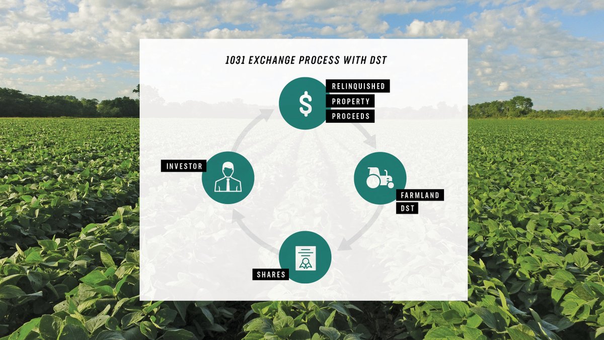 dst_farms's tweet photo. For many investors, the value of the property they would like to replace is not enough to exchange for an entire farmland asset. 

Learn more about why DSTs provide greater access to agricultural assets by joining our webinar THIS THURSDAY! Register now: https://t.co/DwoKa7ZsSV https://t.co/YvxqZpTLOx