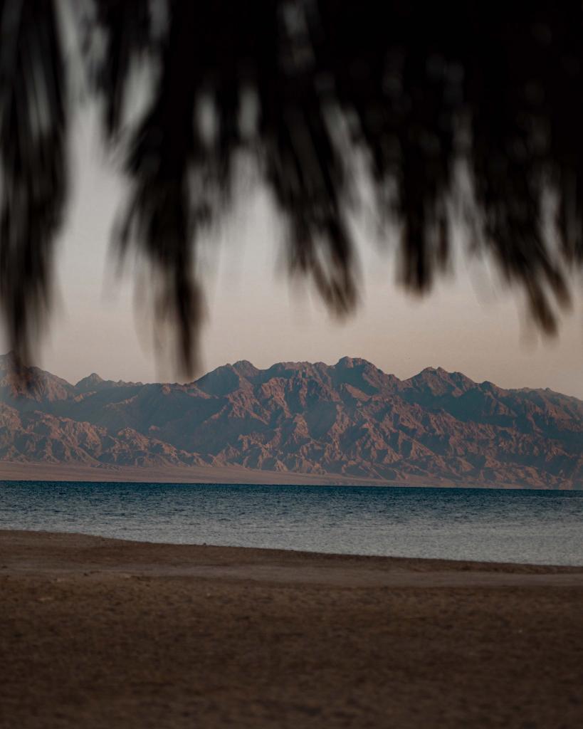 Arabbeau's tweet photo. Egypt https://t.co/sKpRhlEinm