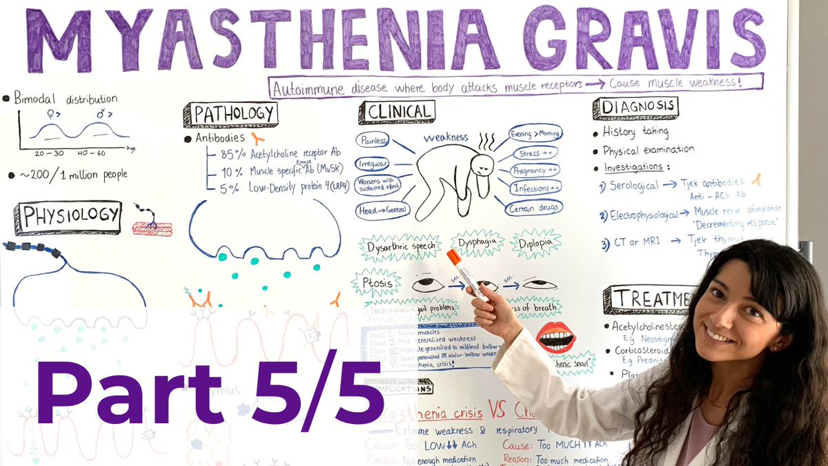 MedMints's tweet image. 🎥✨ NEW VIDEO:

Neurology | Myasthenia Gravis - Treatment | Part 5/5

Link: youtube.com/watch?v=71Jikx…