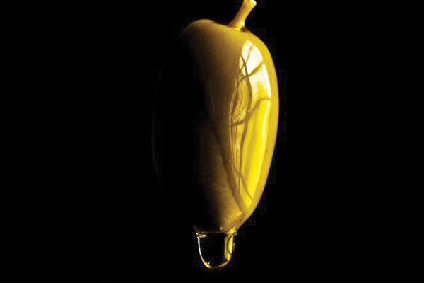 Refrinoticias's tweet photo. LA IMPORTANCIA DE LA REFRIGERACIÓN EN LA PRODUCCIÓN DE ACEITE DE OLIVA EXTRA VIRGEN https://t.co/16Jr3VgSzL #aceitunas #hvac #hvacr #intarcon #produccion https://t.co/Vpkdx8W2dp