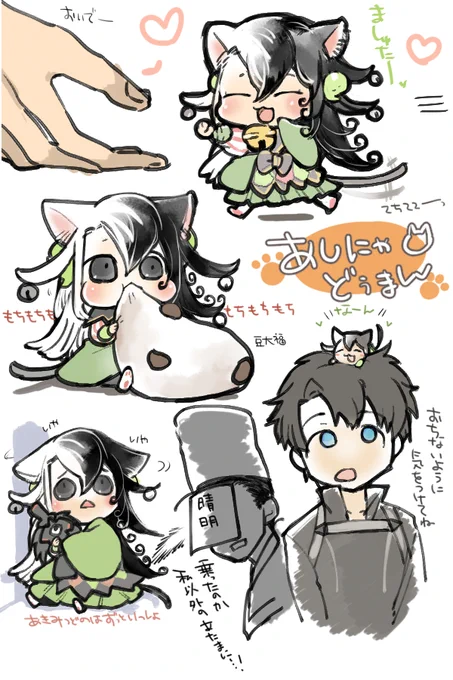 手乗りのあしにゃどうまん飼いたい 