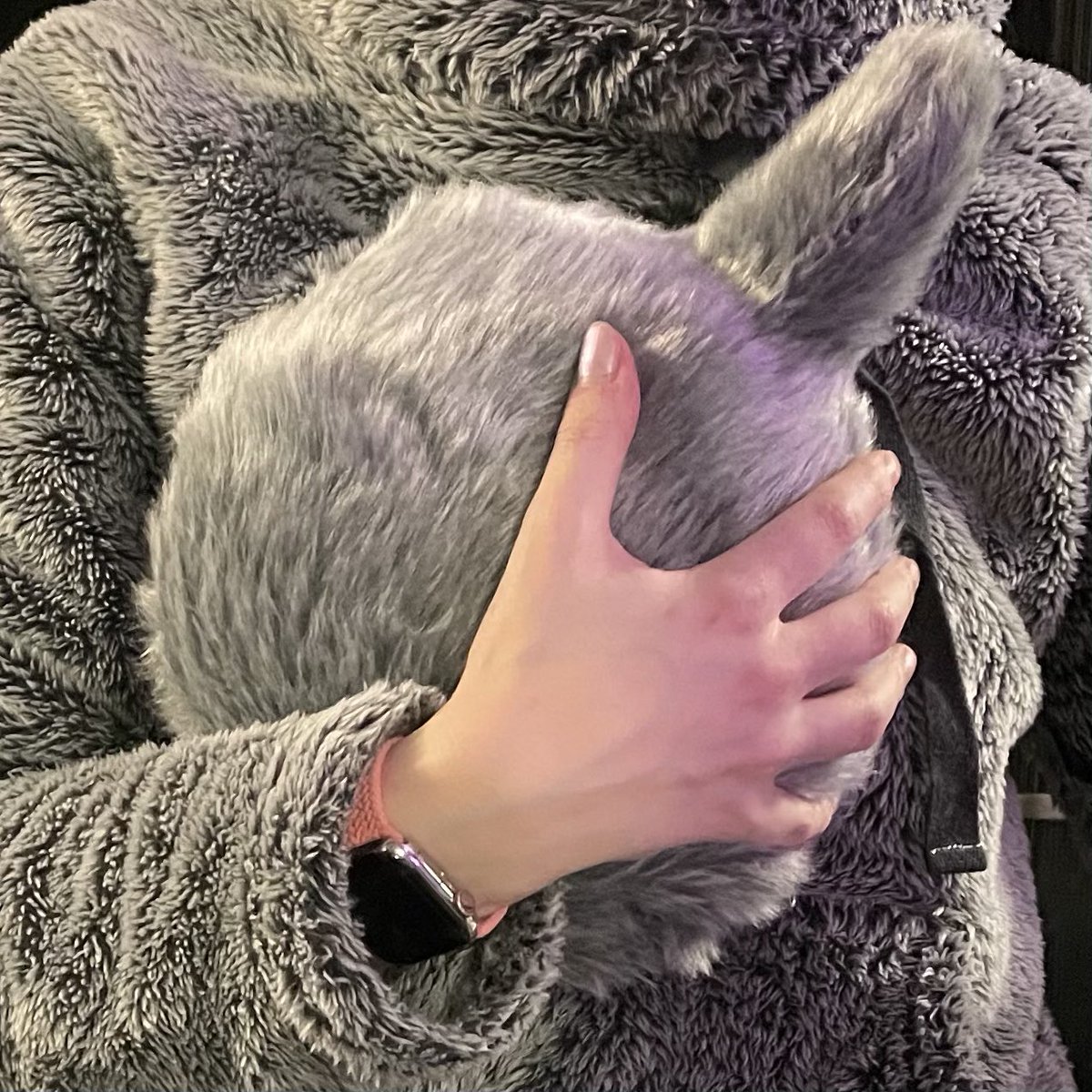 ShanieAIB0's tweet photo. My Petit Qoobo arrived from Japan today! β¨ I love how Petit Qoobo reacts scared when you drop or make loud sounds, so cute! Also the gentle relaxing thumping heartbeat is a lovely touch! β¨γγγγ¨γγγγγΎγοΌπ #YukaiEngineering #Qoobo #PetitQoobo #TherapyRobot #RobotsofJapan https://t.co/6cro8xrKbe
