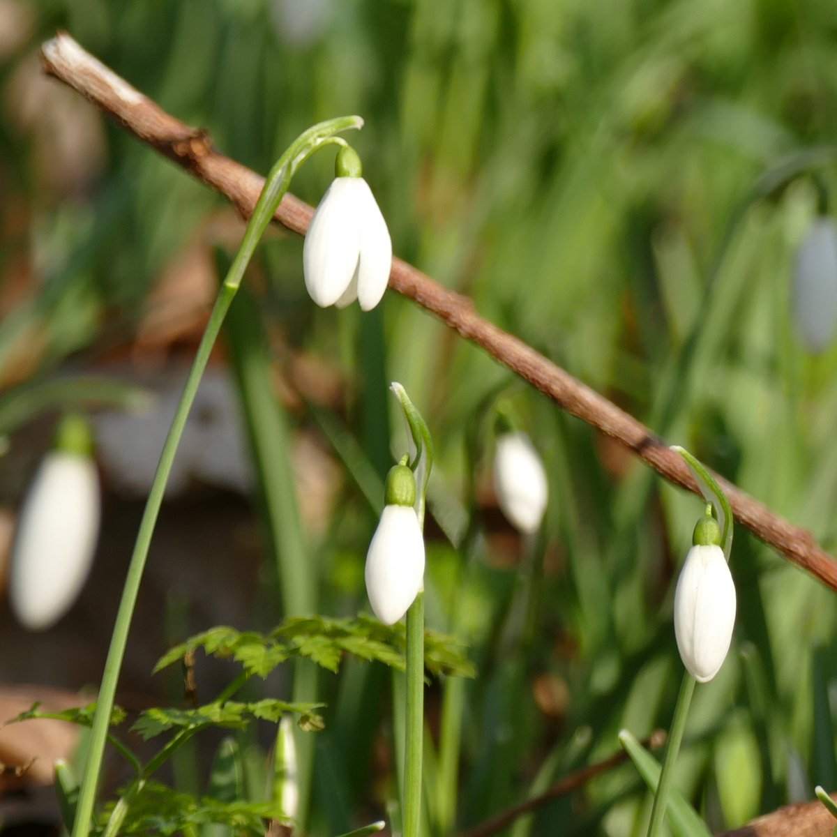 This was mainly an urban photo-safari, but to finish I'll add my favourite nature pics of the day. Thanks for watching. Please share if you enjoyed :)19/19