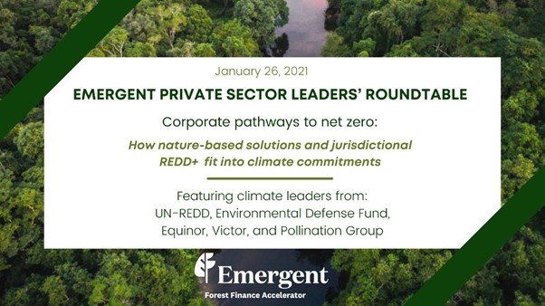 CJ_flyvictor's tweet photo. Excited to support @mahuaacharya Emergent's Roundtable joining climate leaders on path to #netzero tackling #deforestation @flyvictor is the first #carbonnegative #bizaviation company, lets make 2021 the year for #ClimateAction @EmergentClimate #beyondoffset #buildbackbetter https://t.co/GfD7yf8E1c