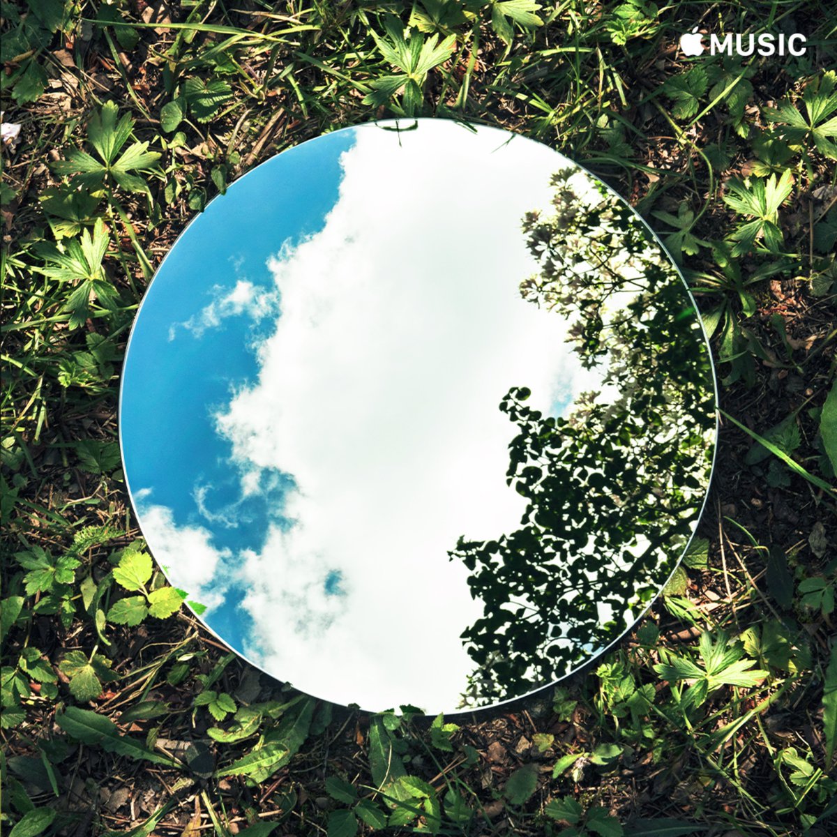 PM Recordings (@pmrecordings) on Twitter photo Listen to the relaxing and melancholic piano piece Fly Like A Leaf by Stefan Tryman in Piano Chill on <a href="/AppleMusic/">Apple Music</a>! ❤️
Listen here: music.apple.com/us/playlist/pi… #pianochill #applemusic #relaxingpiano Listen to the relaxing and melancholic piano piece Fly Like A Leaf by Stefan Tryman in Piano Chill on <a href="/AppleMusic/">Apple Music</a>! ❤️
Listen here: music.apple.com/us/playlist/pi… #pianochill #applemusic #relaxingpiano