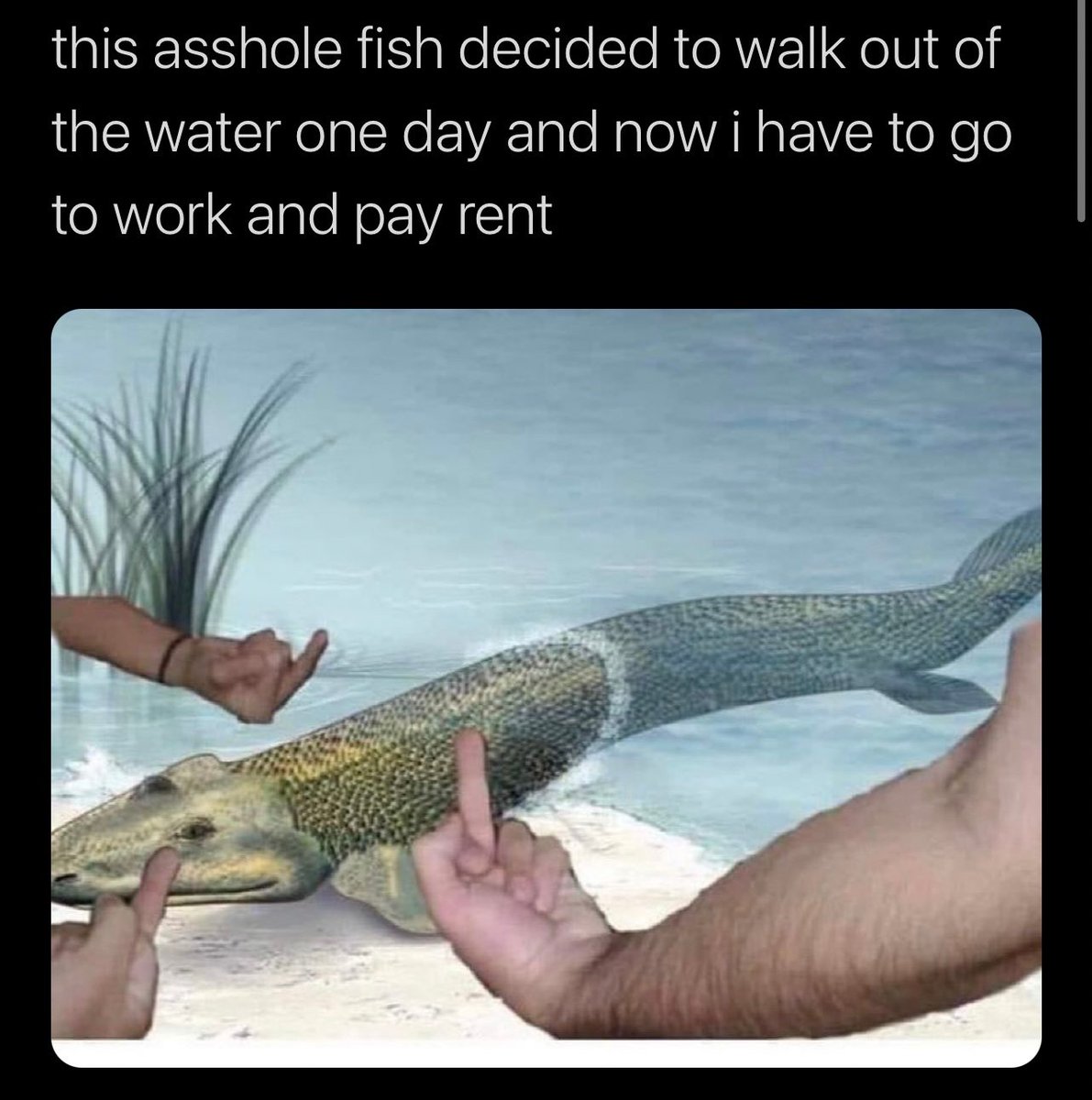@whocaresmanlmao