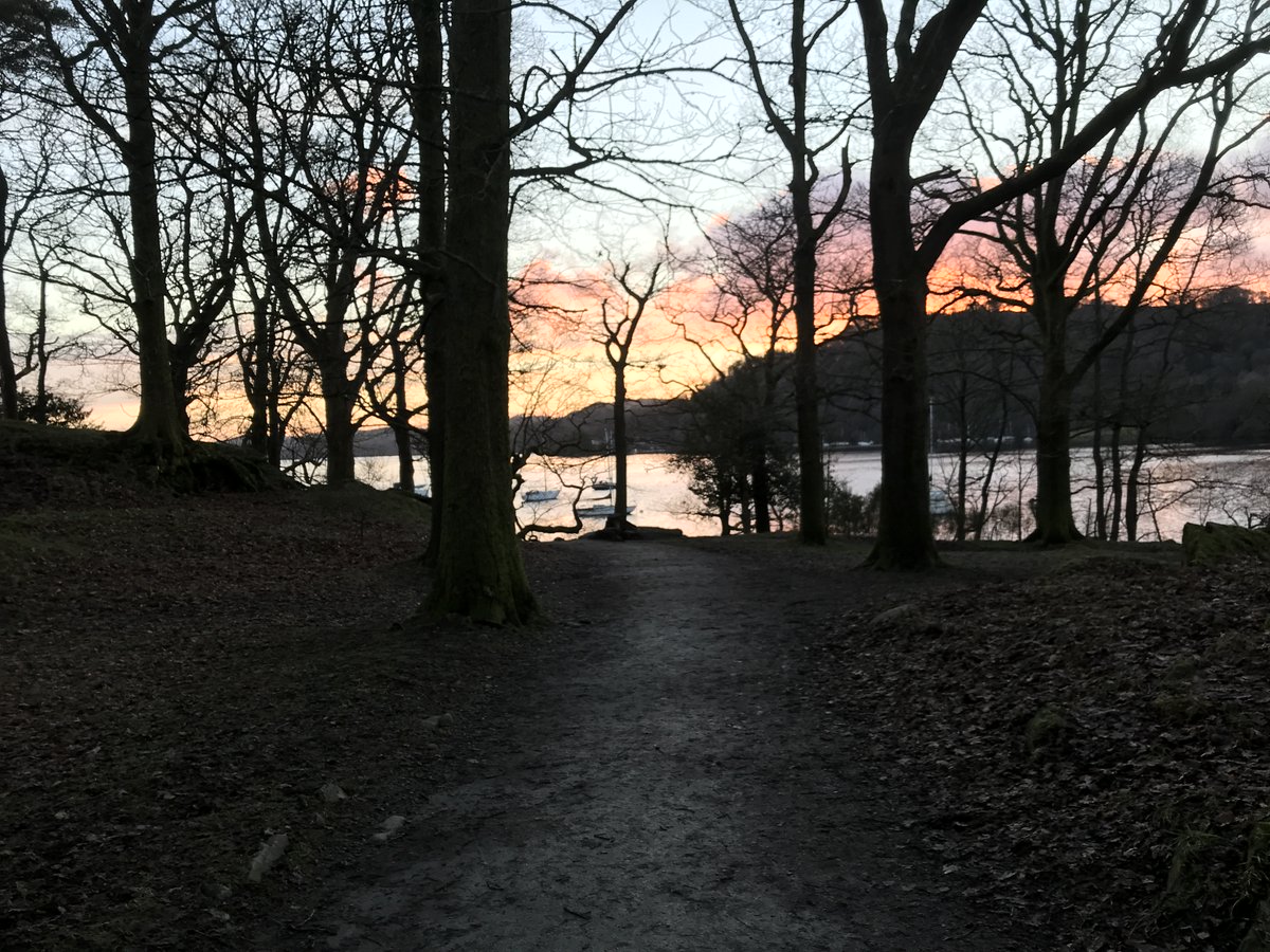 LakelandLoom's tweet photo. Lovely colour sky at Cockshott Point this afternoon 😊 #CockshottPoint #LakelandLoom #thelakedistrict #cumbria #januarysky https://t.co/L1R1SccaHR