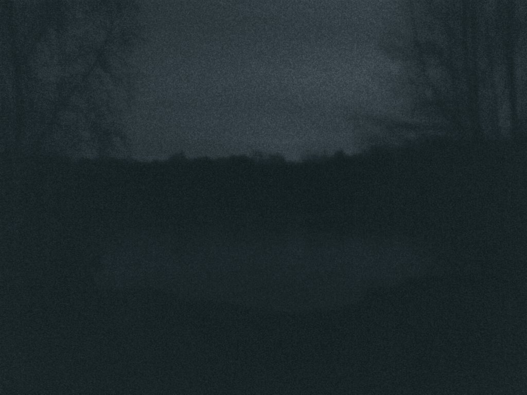 AlexGehrau's tweet image. Life's on a low - don't even care - I hug the ground there's no way down.