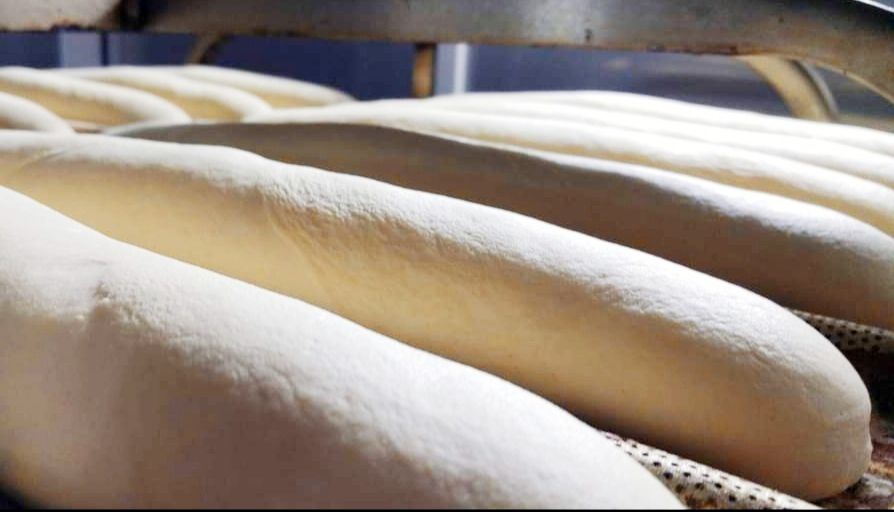 pandelrosal's tweet photo. Nuestras barras de pan 🥖destacan por su crujiente corteza y un buen alveolado, gracias a nuestra masa madre y una larga fermentación controlada😋😋
.
.
#almeria #gallega #barra #pandelrosal #rustica #pan #dependientas #panaderia #pandelrosal #tradicional #facebook #instagram https://t.co/GeiLIhK6QE