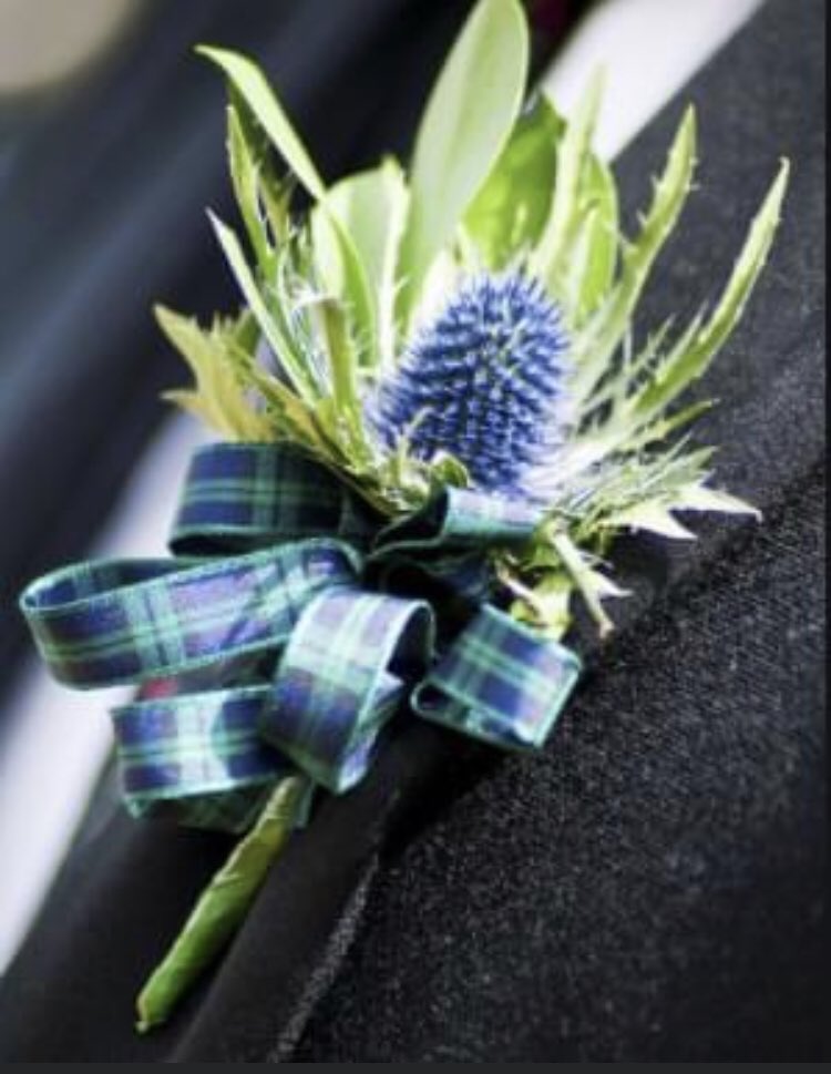kcweddingevents's tweet photo. 🥃 💗 🏴󠁧󠁢󠁳󠁣󠁴󠁿 Happy Burns Night - Have you thought about using Thistles, Heather and Tartan in your Wedding floristry arrangements? 🏴󠁧󠁢󠁳󠁣󠁴󠁿 💗 🥃

#burnsnight #burnsnight2021 #burnsnightwedding #burnsnightproposal #burnsnightromance #burnsnightengagement #scottishtheme #kcweddingsandevents https://t.co/EVQYWX0NMP