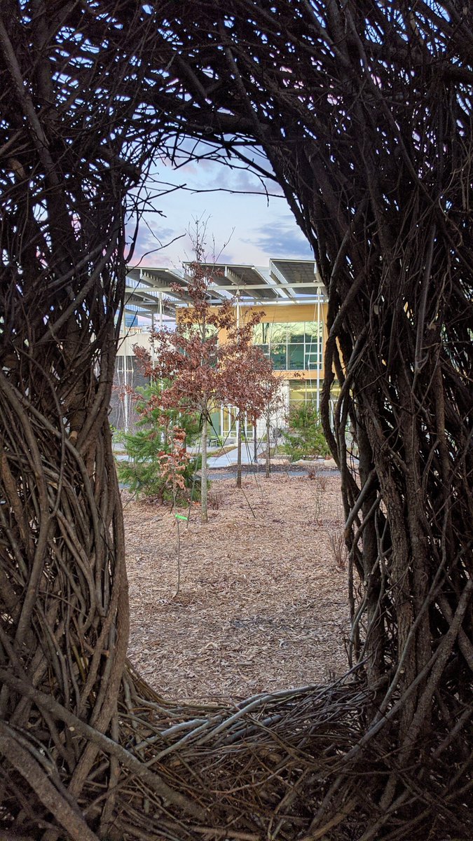 KendedaBuilding's tweet photo. View of the #KendedaBuilding from @artsatgt #patrickdougherty #stickwork installation in GT's Eco-Commons. Swing by and see what #georgiatech, @serenbe, @modatl, and other #volunteers helped create! #naturalart #crowdsourceart #outdoorspaces #biophilicdesign #biophilia #nature https://t.co/S6abqRLeh2