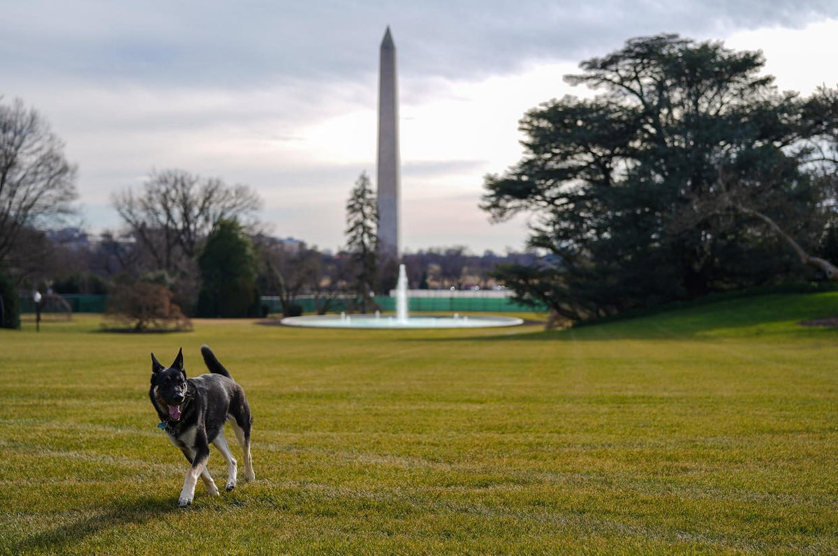 enews's tweet photo. Important news announcement: Champ and Major Biden have officially arrived at the White House. 🥰👏 (📷: Adam Schultz/White House) https://t.co/P0Viww1X05 https://t.co/ji1UG539M6