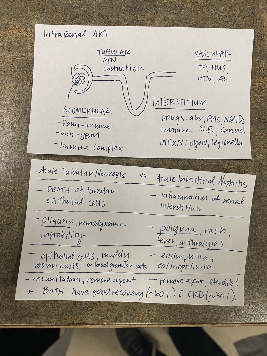 URMC Internal Medicine Residency (@urmcinternalmed) on Twitter photo Another round of index card teaching! Love remembering the subtleties of intrarenal AKI and sorting through the alphabet soup. This our version of #postitpearls! <a href="/jenreadlynn/">Jen Readlynn, MD, FHM (she/her)</a> <a href="/XiChenMD/">Xi Chen</a> <a href="/KaitlinKyi/">Kaitlin Kyi, MD</a> @KatlynMcbride Another round of index card teaching! Love remembering the subtleties of intrarenal AKI and sorting through the alphabet soup. This our version of #postitpearls! <a href="/jenreadlynn/">Jen Readlynn, MD, FHM (she/her)</a> <a href="/XiChenMD/">Xi Chen</a> <a href="/KaitlinKyi/">Kaitlin Kyi, MD</a> @KatlynMcbride