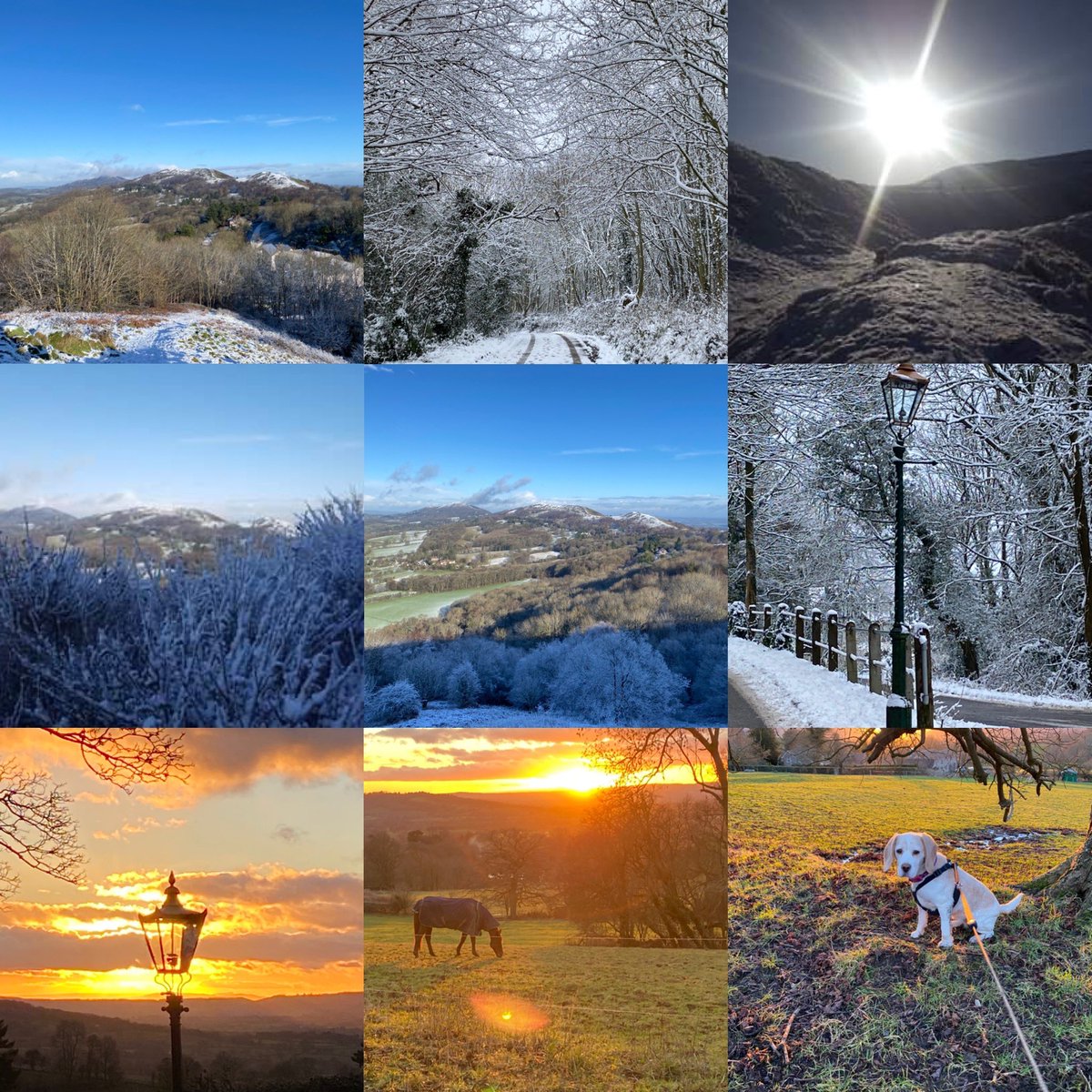 SarahGrout's tweet photo. I’ve been putting in walking miles around the #MalvernHills for the @SterlingNetwrks 2021 challenge to raise vital funds for charity partner @LeonardCheshire - #networking members supporting the physical and mental health benefits of exercise #worcestershirehour https://t.co/DmLdCASomq