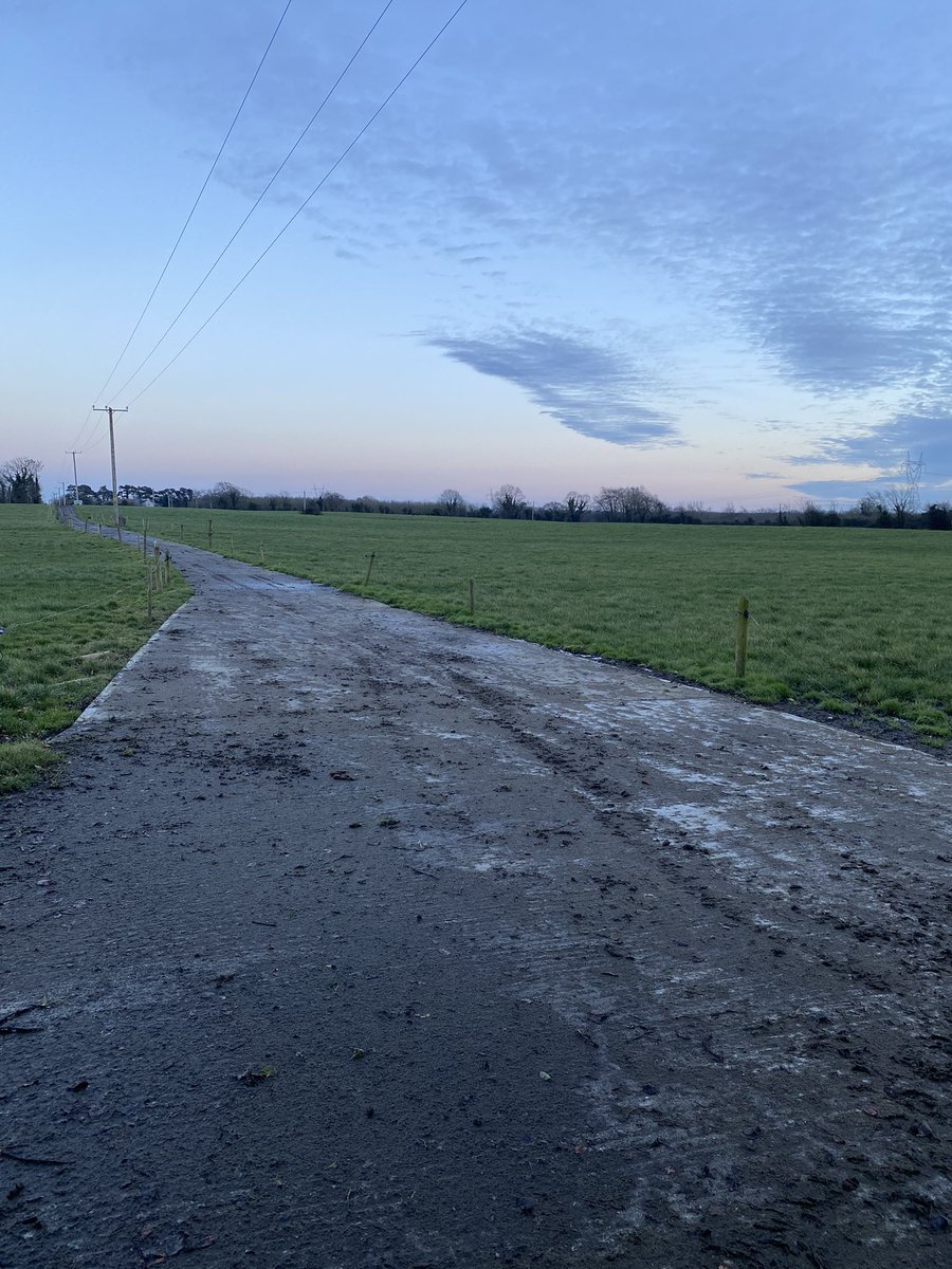 Out Mapping a farm for a customer outside Portumna today. Great to see green grass so early in the year