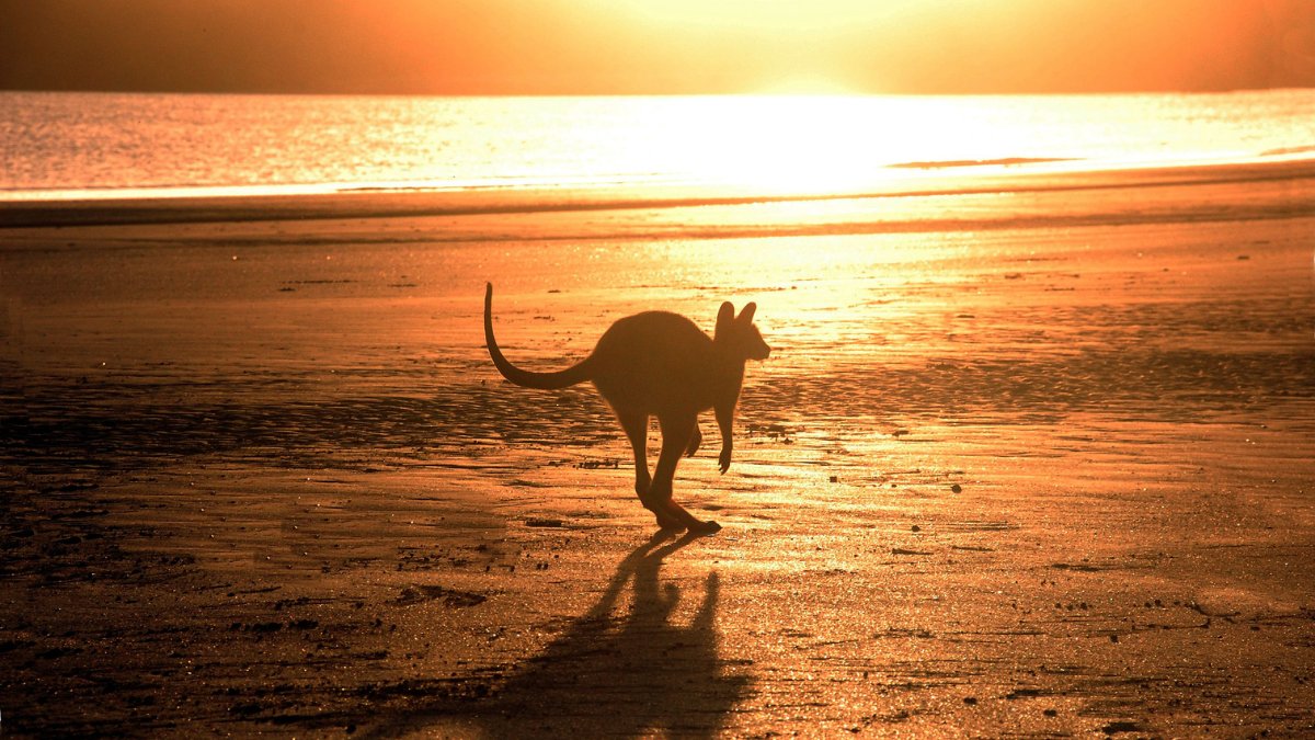 CJamesMethod's tweet image. On Australia Day we celebrate - both our differences and the things that unite us as Australians.

#australiaday