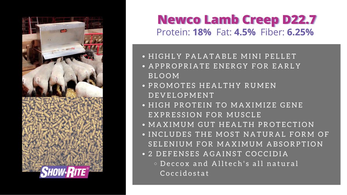 It’s time to lay the foundation of nutrition and performance for your baby lambs. 

Newco Lamb Creep is obviously not full of fiber, as we prefer to pack this product full of nutrient dense ingredients! So we recommend providing alfalfa hay while utilizing this product.