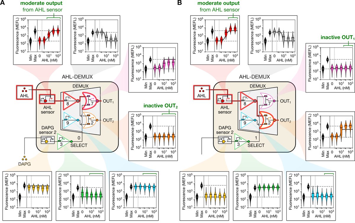 JS3xton's tweet photo. And, shameless plug: I used violin plots extensively in the supplemental figures of my recent paper (https://t.co/HDxXvcNmN1), so check that out too for more cool examples of what you can do with them! https://t.co/n2SAe6yDz8