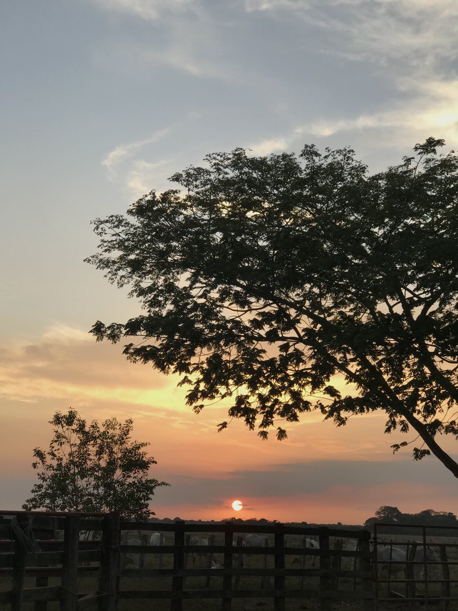 Y así cayó la tarde de hoy #lunesllanero 25 de enero 🌅