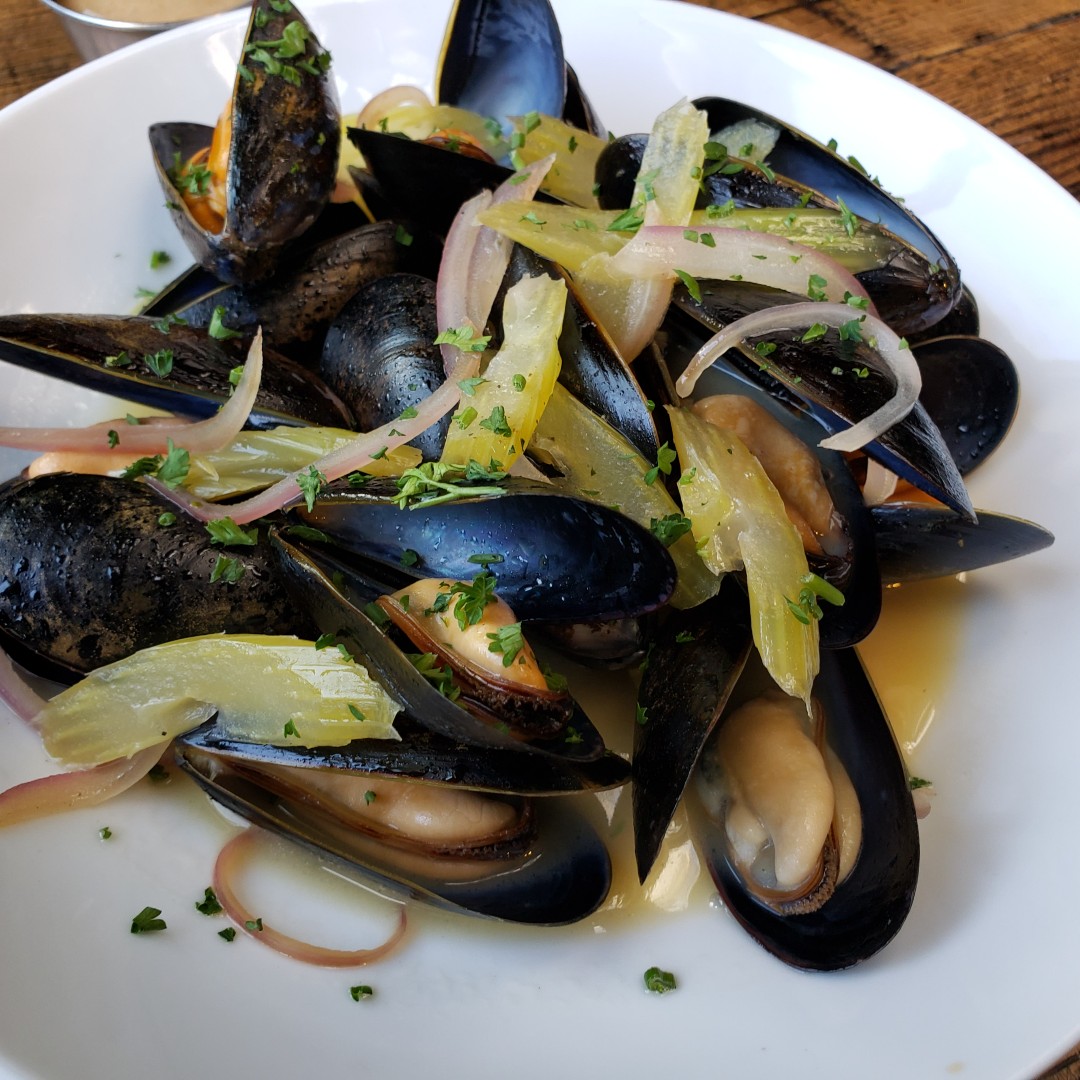 ElmhurstBrewing's tweet photo. We are open and we will be here till 11 PM tonight. We have Open Mic starting at 8 PM. Today all drafts are $5. and as always beer and food is available for carryout or delivery. #happymonday #ebc #letsgetbeers #moulesfrites https://t.co/3tFvEPvf5j