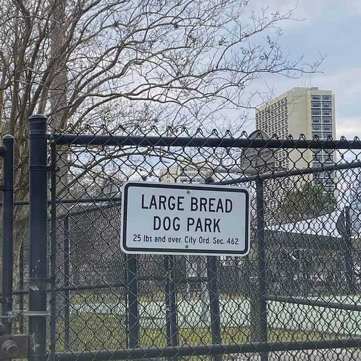mrwugglythepug's tweet photo. Yes finally a dog park that notices my cute figure.
#bread #dogpark #fun #playtime #breadpug #pugs #pug https://t.co/NgI1ChoQj5
