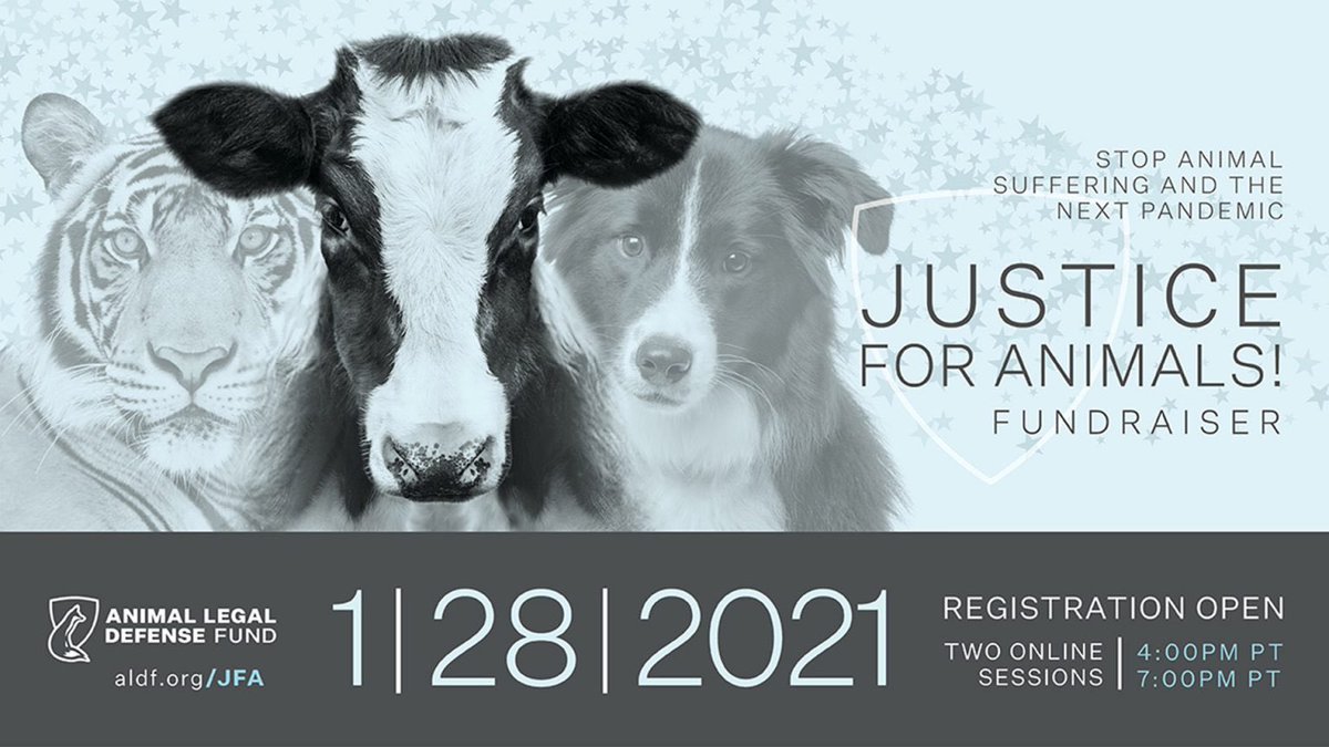 ATXEventSystems's tweet image. If 2020 taught us anything, it’s that our planet needed a reset. We’re thankful to Gayle Stallings,(@funauctiongirl) and FUNauctions for involving us in the Animal Legal Defense Fund’s fundraising efforts on Thursday. Please visit the link in post to sign up &amp;amp; support this cause.